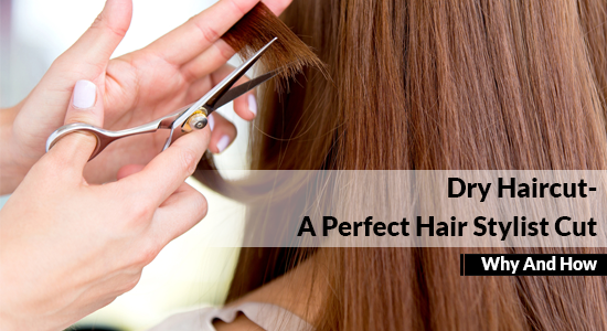 Dry Haircut- A Perfect Hair Stylist Cut (Why And How)