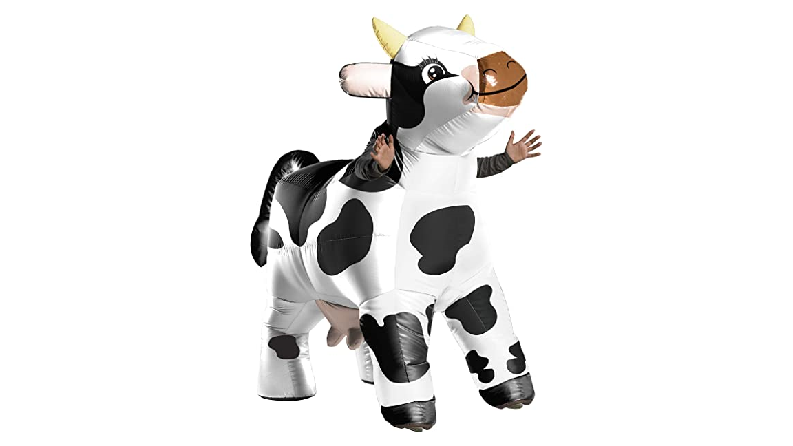 Moo Moo The Cow