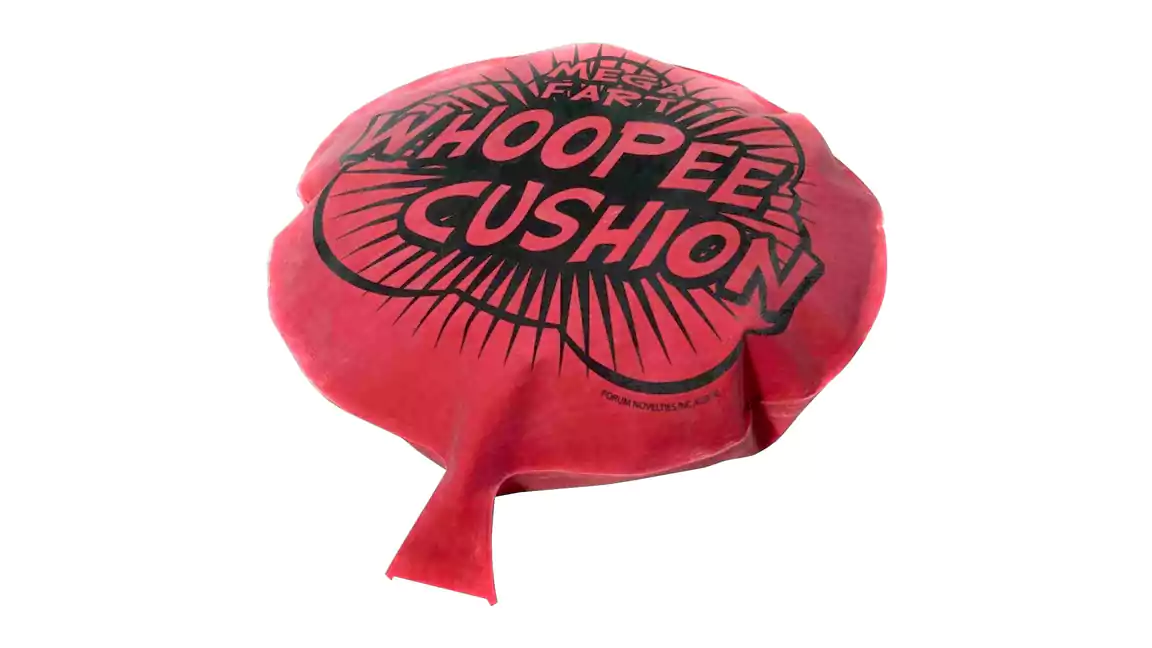 Whoopie Cushion