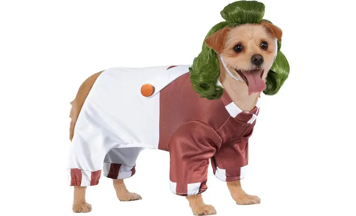 Delivery Boy Halloween Costume for Dogs