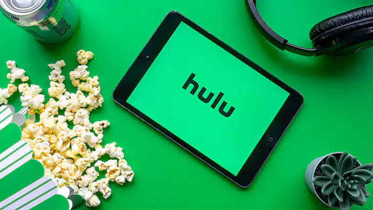 How to Watch Hulu On Discord On On Fire Tv/ Android Tv