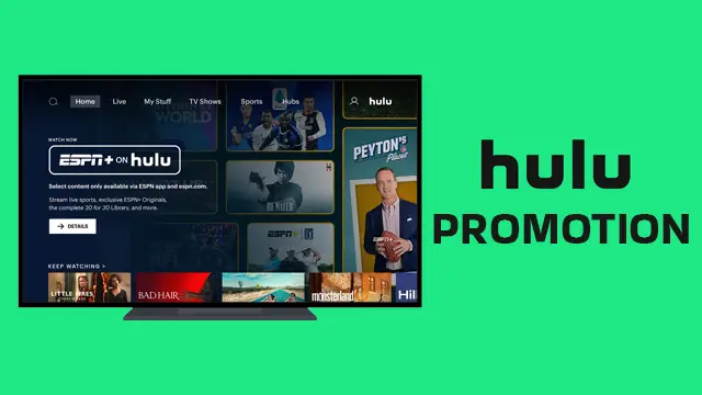hulu promotion