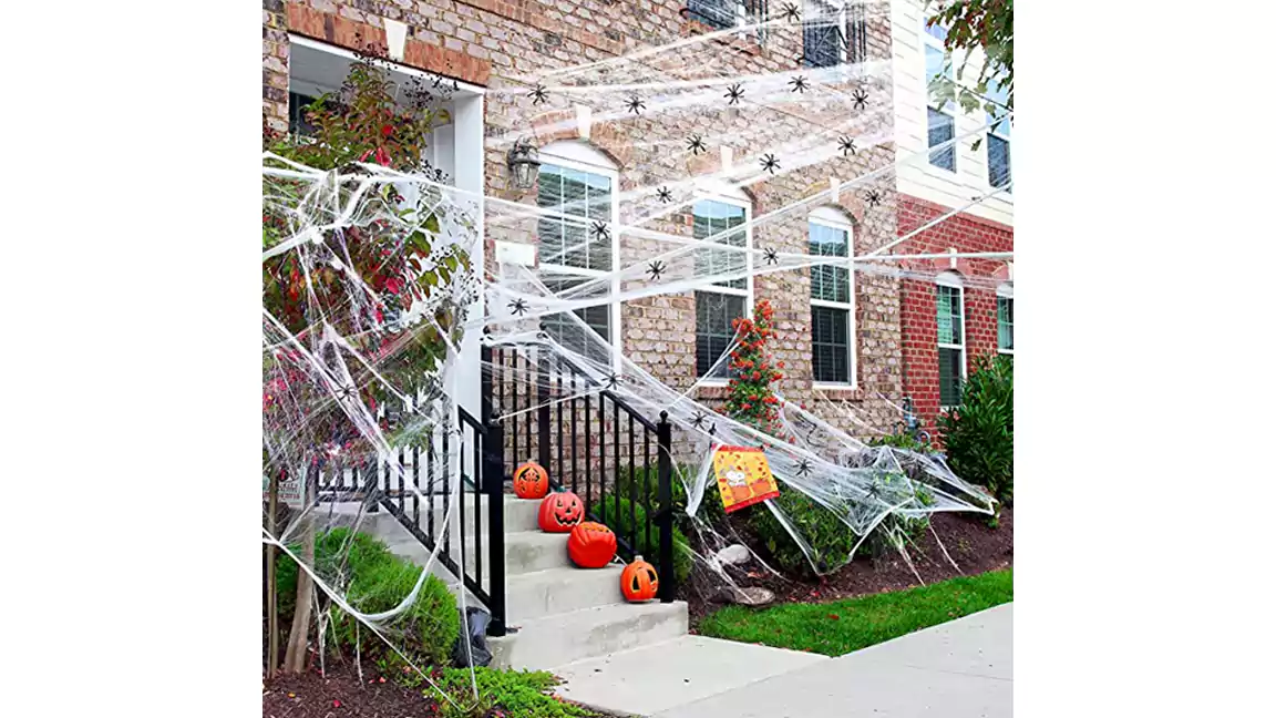 Stretchable Cobwebs with Spiders