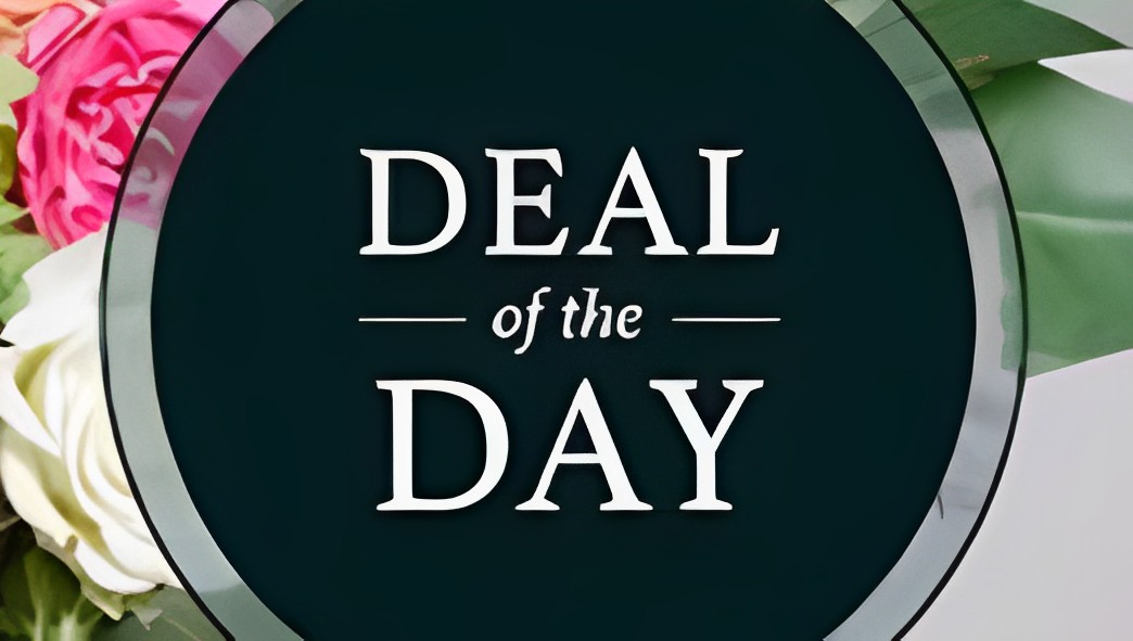 Deal of the Day