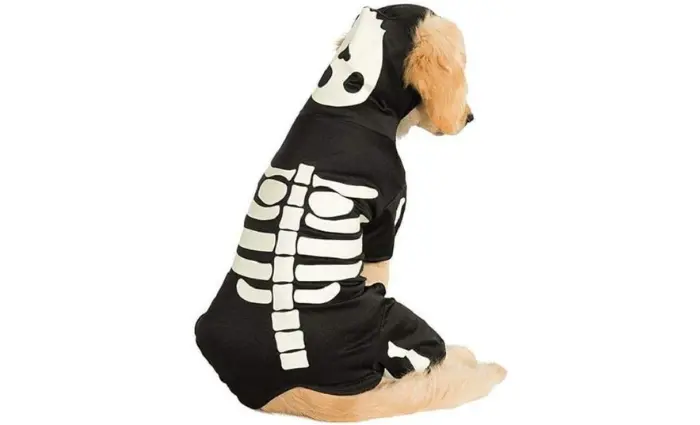 Skeleton Halloween Hoodie for Dogs