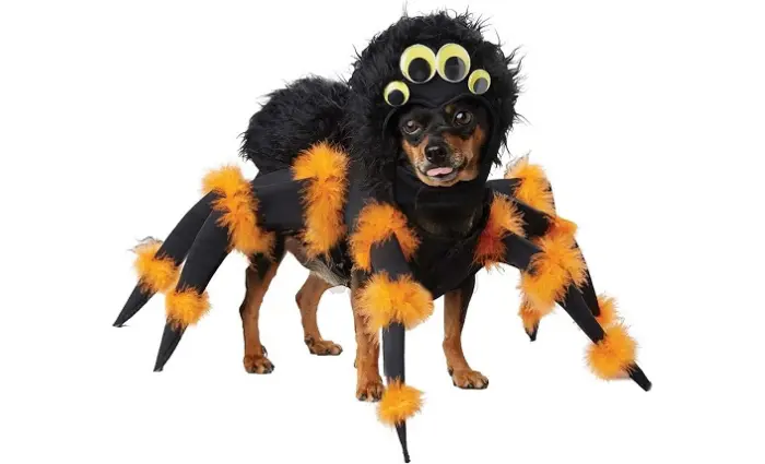 Spider Halloween Costume for Dogs