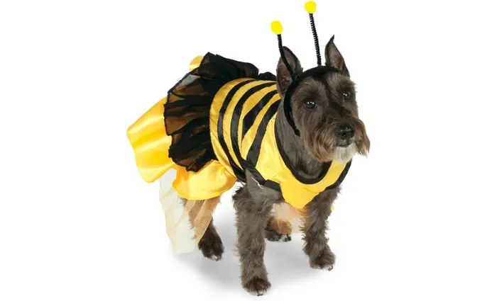 Bee Halloween Costume for Dogs