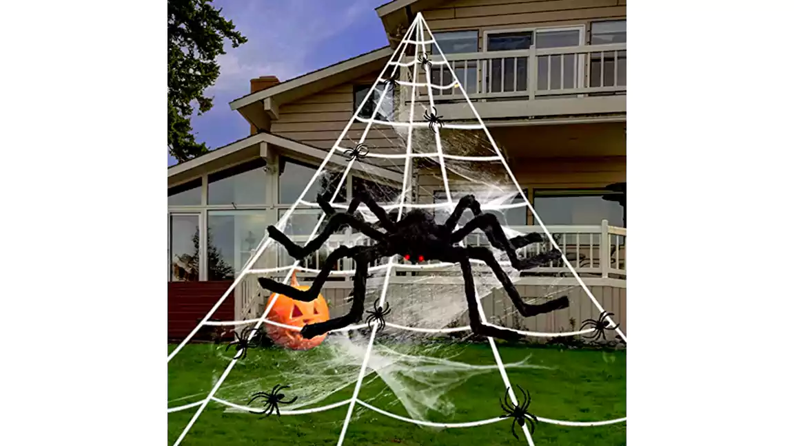 Giant Spider Web