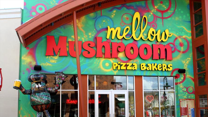 mellow mushroom promo code