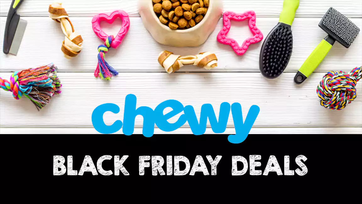 chewy black friday sale