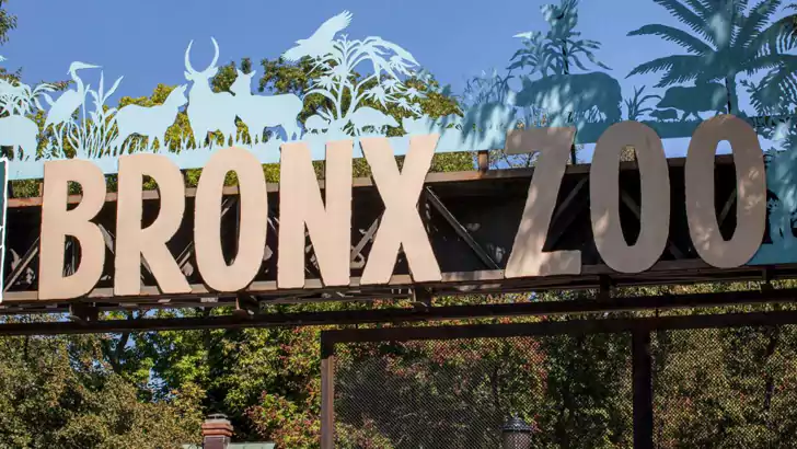 bronx zoo promo code