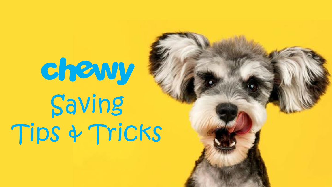 chewy saving tips and tricks