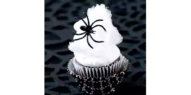 Spider web Halloween cupcake