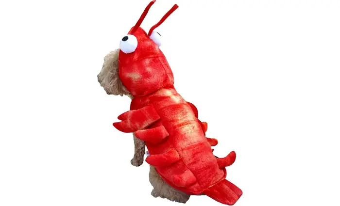 Lobster Halloween Costume for Dogs