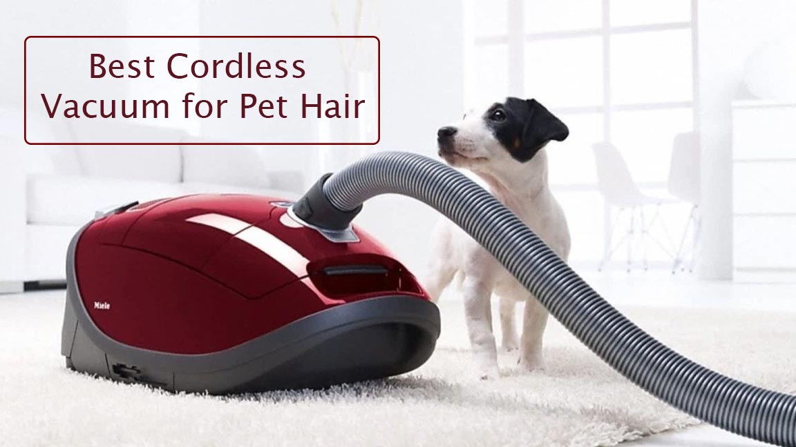 The 10 Best Cordless Vacuum for Pet Hair That You Should Get ASAP!
