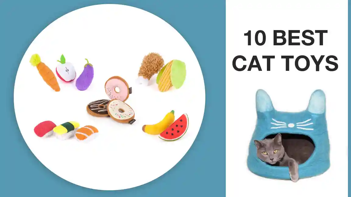 10 BEST CAT TOYS - MAKE YOUR CAT HAPPY ALL THE TIME