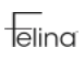 Felina coupon codes, promo codes and deals