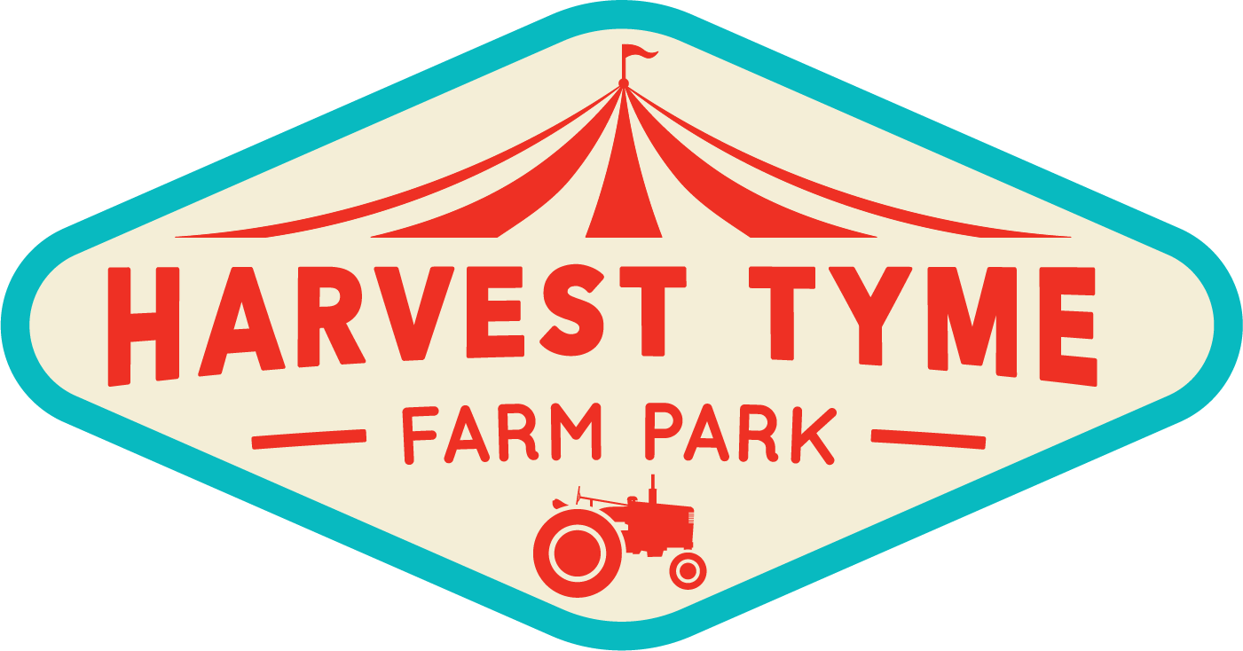 Harvest Tyme coupon codes, promo codes and deals