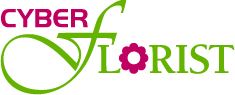 Cyber Florist coupon codes, promo codes and voucher Cyber Florist coupon codes, promo codes and deals