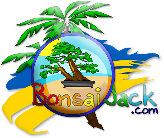 Bonsai Jack coupon codes, promo codes and deals