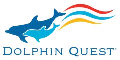 Dolphin Quest coupon codes, promo codes and deals