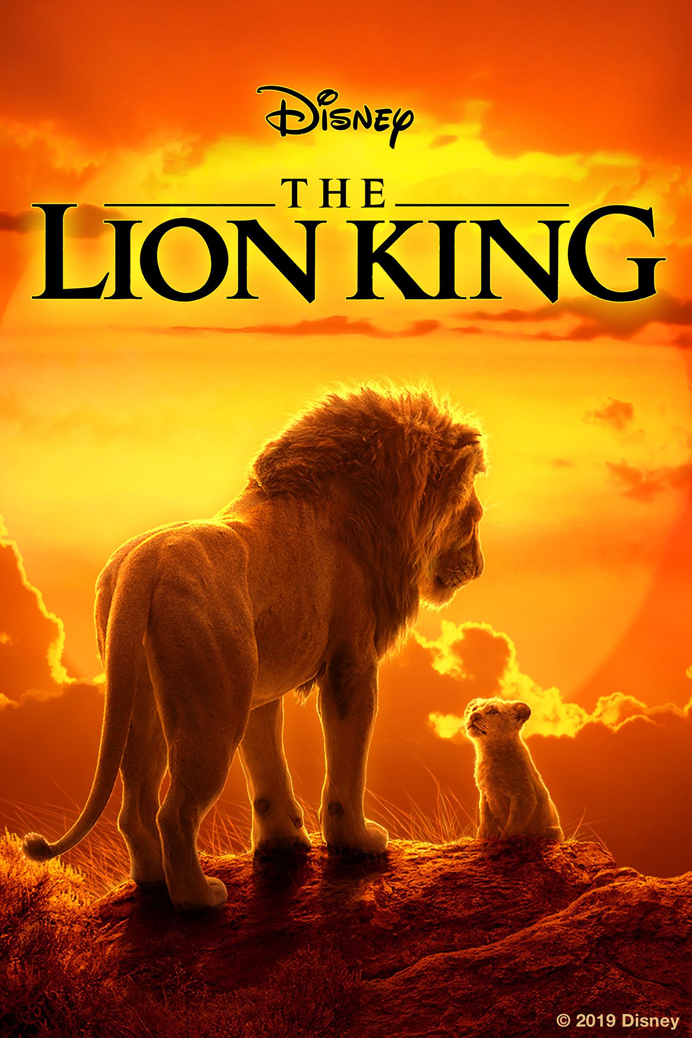 lionking coupon codes, promo codes and deals