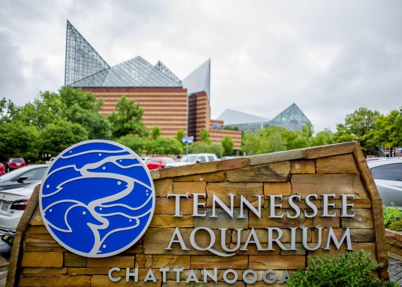 Tennessee Aquarium coupon codes, promo codes and deals