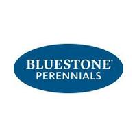 Bluestone Perennials coupon codes, promo codes and deals