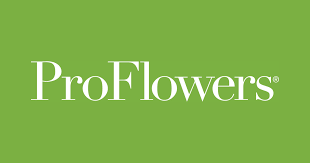 ProFlowers coupon codes, promo codes and deals