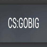 Csgobig coupon codes, promo codes and deals