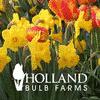 Holland Bulb coupon codes, promo codes and deals