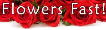 Flowers Fast coupon codes, promo codes and deals