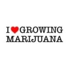 I Love Growing Marijuana coupon codes, promo codes and deals