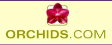 Orchids.com coupon codes, promo codes and deals
