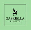 Gabriella Plants coupon codes, promo codes and deals