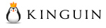 Kinguin Discount Codes