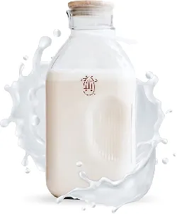 Almond Cow Glass Milk Jug