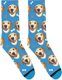 DivvyUp Socks - Custom Dog Socks